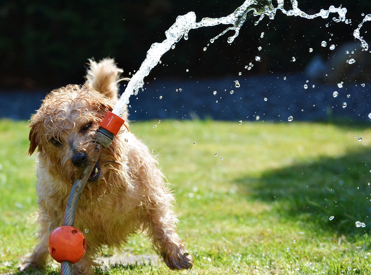 Tips for Keeping Cool in the Office